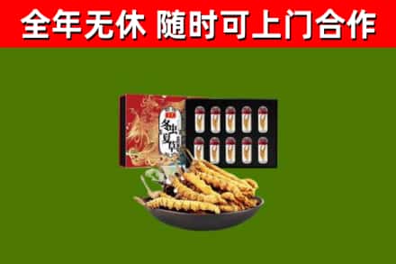 许昌回收冬虫夏草价格